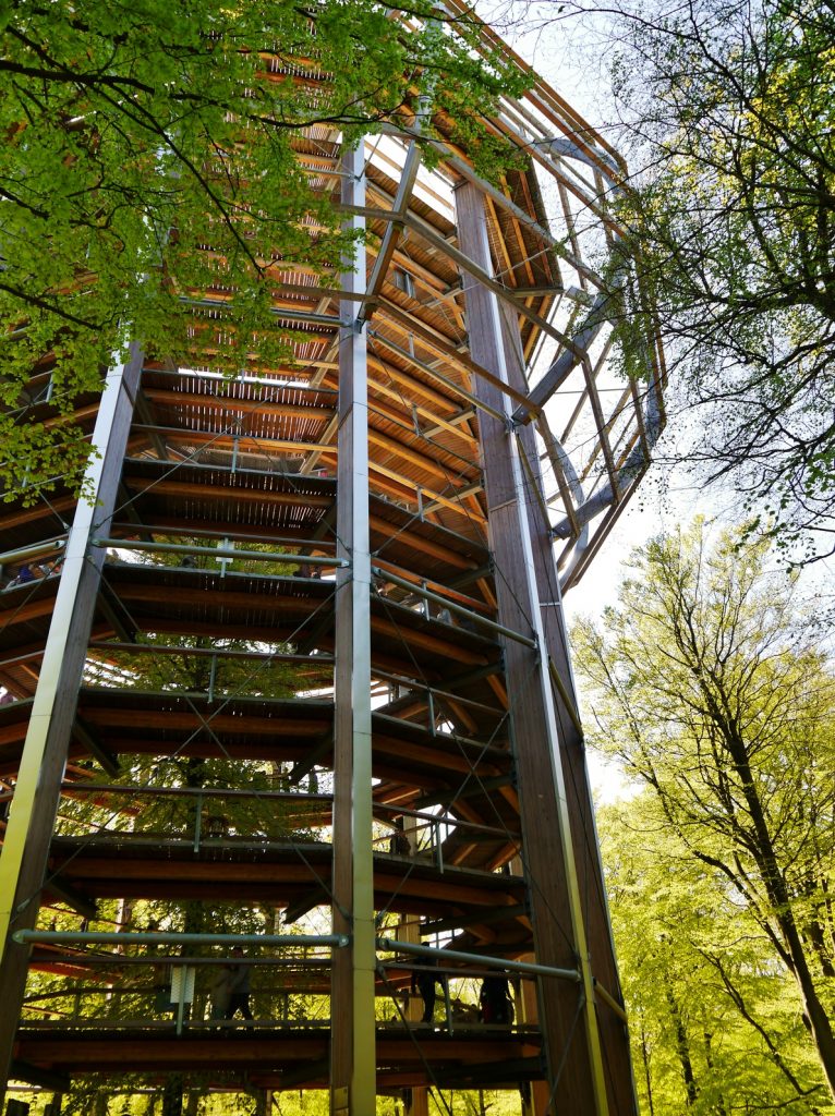Aktivitäten und Sehenswürdigkeiten BinzTurm im Park mit Baumwipfelpfad